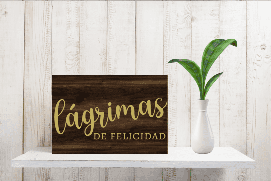 Rincón-Madera-Lágrimas 2
