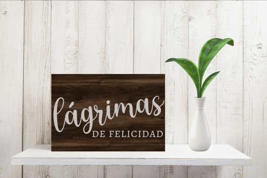 Rincón-Madera-Lágrimas 3