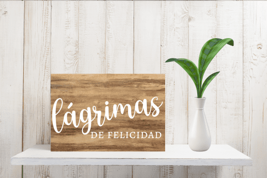 Rincón-Madera-Lágrimas 6