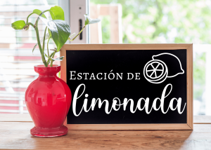 Cartel de Rincón-Pizarra-Limonada