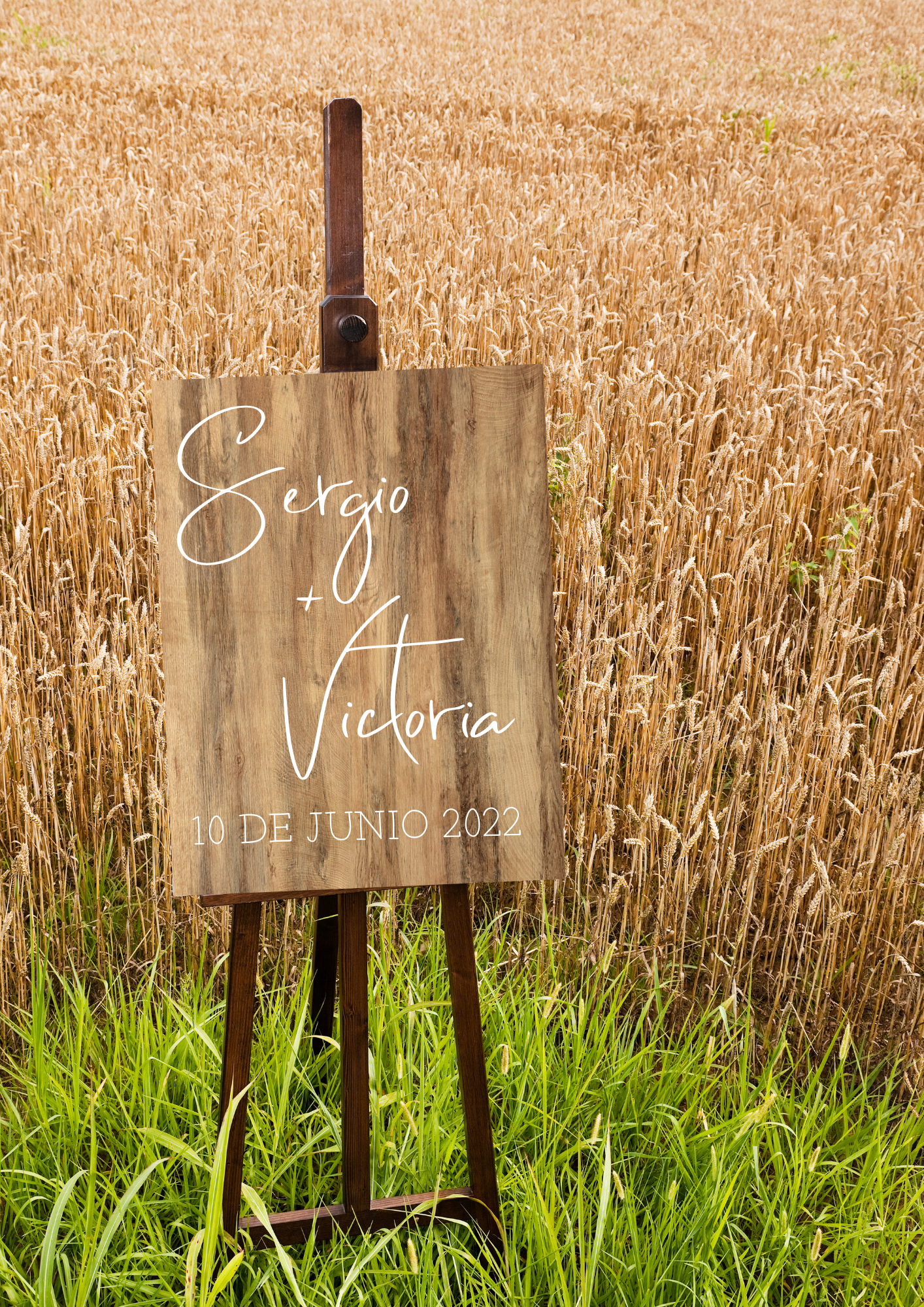 bienvenida nombre y fecha (7)